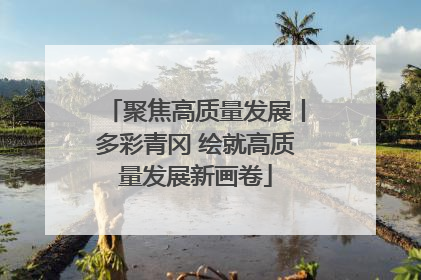 聚焦高质量发展丨多彩青冈 绘就高质量发展新画卷