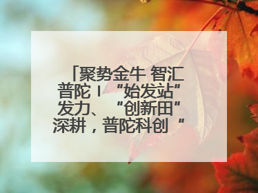 聚势金牛 智汇普陀〡“始发站”发力、“创新田”深耕，普陀科创“金牛”闪耀