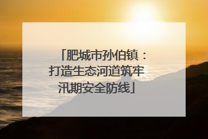 肥城市孙伯镇：打造生态河道筑牢汛期安全防线