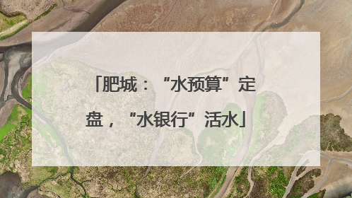 肥城：“水预算”定盘，“水银行”活水