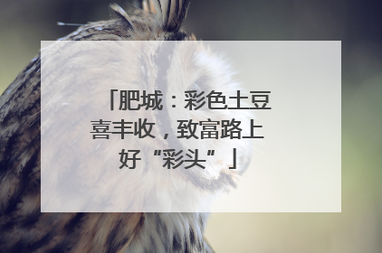 肥城：彩色土豆喜丰收，致富路上好“彩头”