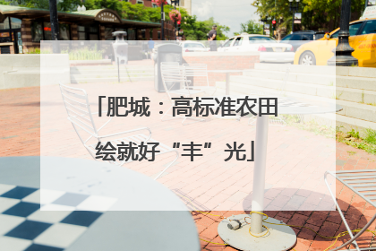 肥城：高标准农田绘就好“丰”光