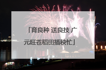 育良种 送良技 广元旺苍稻田插秧忙