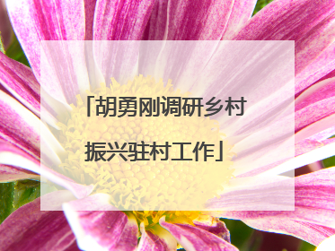胡勇刚调研乡村振兴驻村工作