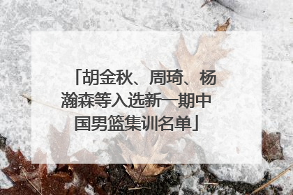 胡金秋、周琦、杨瀚森等入选新一期中国男篮集训名单