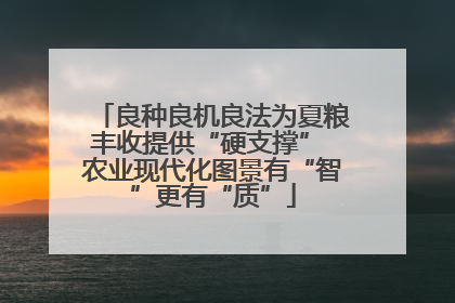 良种良机良法为夏粮丰收提供“硬支撑” 农业现代化图景有“智”更有“质”