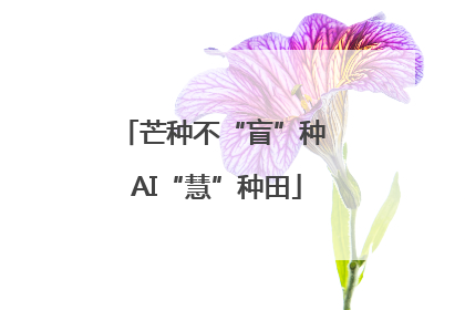 芒种不“盲”种 AI“慧”种田