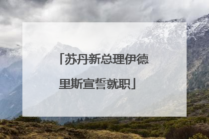 苏丹新总理伊德里斯宣誓就职