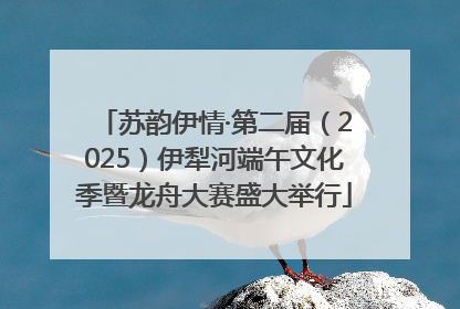 苏韵伊情·第二届（2025）伊犁河端午文化季暨龙舟大赛盛大举行