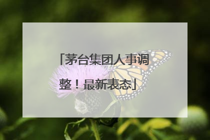 茅台集团人事调整！最新表态