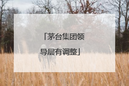 茅台集团领导层有调整