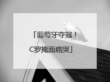 葡萄牙夺冠！C罗掩面痛哭