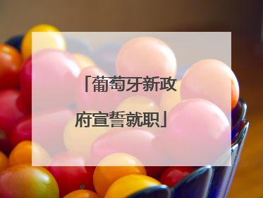 葡萄牙新政府宣誓就职