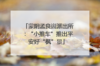 蒙阴孟良崮派出所：“小推车”推出平安好“枫”景