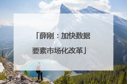 薛刚：加快数据要素市场化改革