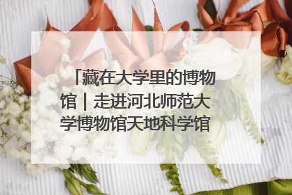 藏在大学里的博物馆｜走进河北师范大学博物馆天地科学馆：在校园里赴一场“宇宙之约”