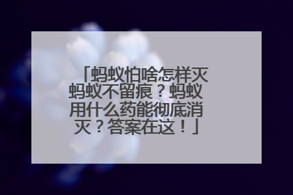 蚂蚁怕啥怎样灭蚂蚁不留痕？蚂蚁用什么药能彻底消灭？答案在这！