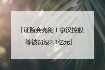 证监会亮剑！京汉控股等被罚没2.3亿元