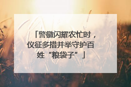 警徽闪耀农忙时，仪征多措并举守护百姓“粮袋子”