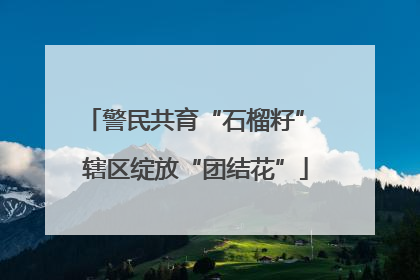 警民共育“石榴籽” 辖区绽放“团结花”