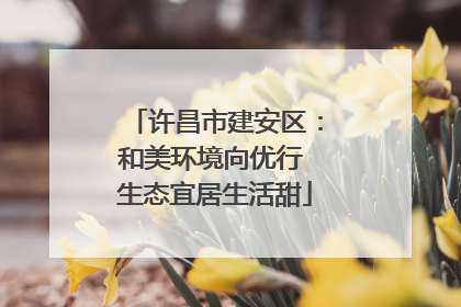 许昌市建安区：和美环境向优行 生态宜居生活甜