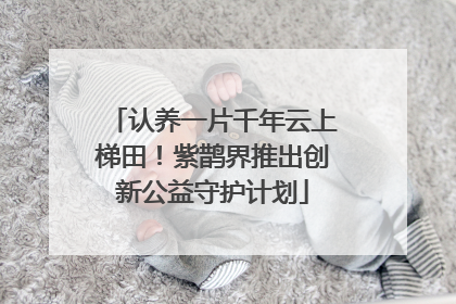 认养一片千年云上梯田！紫鹊界推出创新公益守护计划
