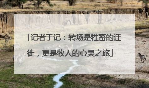 记者手记：转场是牲畜的迁徙，更是牧人的心灵之旅