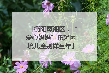 衡阳蒸湘区：“爱心妈妈”托起困境儿童别样童年