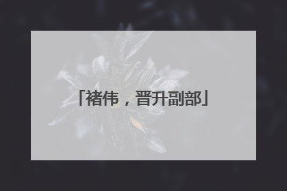 褚伟，晋升副部