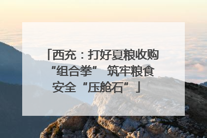 西充：打好夏粮收购“组合拳” 筑牢粮食安全“压舱石”