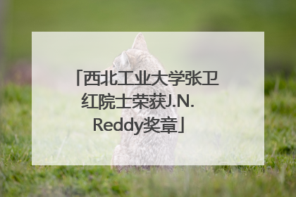 西北工业大学张卫红院士荣获J.N.Reddy奖章
