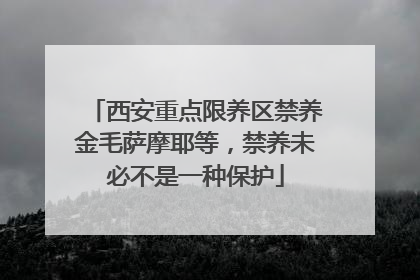 西安重点限养区禁养金毛萨摩耶等，禁养未必不是一种保护
