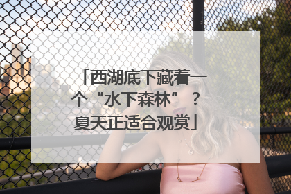西湖底下藏着一个“水下森林”？夏天正适合观赏