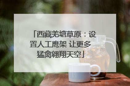 西藏羌塘草原：设置人工鹰架 让更多猛禽翱翔天空