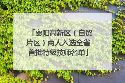 襄阳高新区（自贸片区）两人入选全省首批特级技师名单