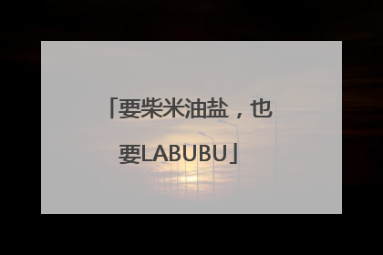 要柴米油盐，也要LABUBU