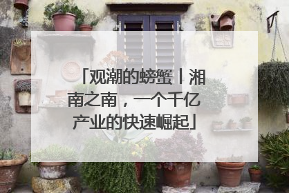 观潮的螃蟹丨湘南之南，一个千亿产业的快速崛起