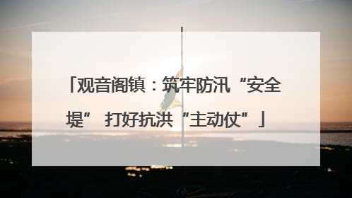 观音阁镇：筑牢防汛“安全堤” 打好抗洪“主动仗”