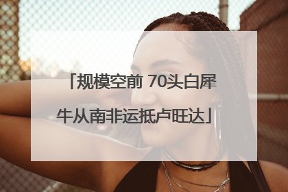 规模空前 70头白犀牛从南非运抵卢旺达