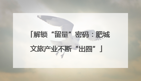 解锁“留量”密码：肥城文旅产业不断“出圈”