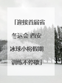 迎接首届省冬运会 西安冰球小将假期训练不停歇