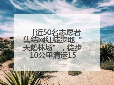 近50名志愿者集结网红徒步地“天鹅林场”，徒步10公里清运150余斤山野垃圾