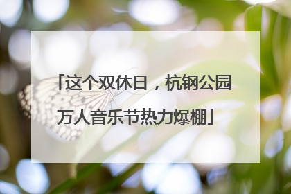 这个双休日，杭钢公园万人音乐节热力爆棚