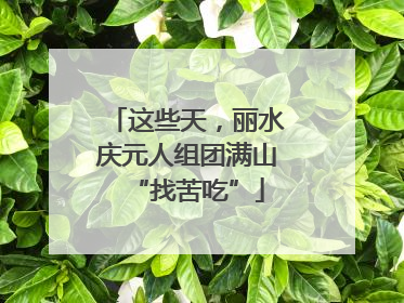 这些天，丽水庆元人组团满山“找苦吃”