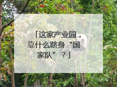 这家产业园，靠什么跻身“国家队”？