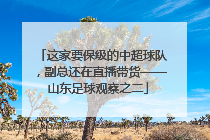 这家要保级的中超球队，副总还在直播带货——山东足球观察之二