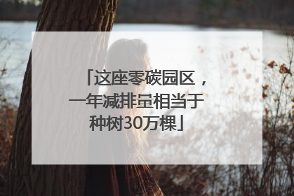 这座零碳园区，一年减排量相当于种树30万棵