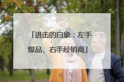 进击的白象：左手爆品、右手经销商