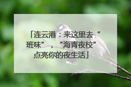 连云港：来这里去“班味”，“海青夜校”点亮你的夜生活