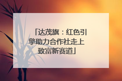 达茂旗：红色引擎助力合作社走上致富新赛道